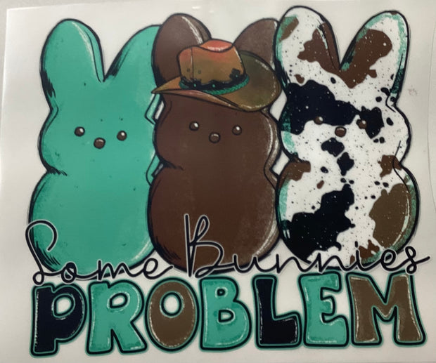 Bunny’s Problem